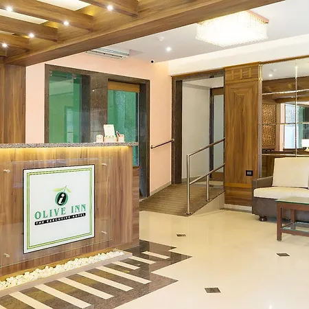 Treebo Olive Inn Near Bkc-2